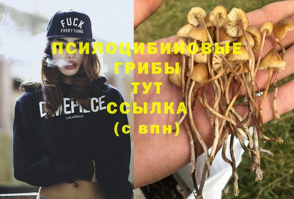 гидропоника Алексеевка