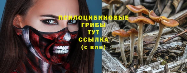 MDMA Premium VHQ Алзамай